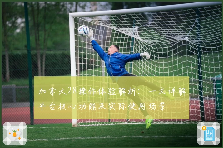 加拿大28操作体验解析:一文详解平台核心功能及实际使用场景