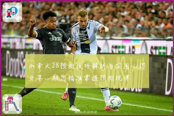 加拿大28预测技巧解析与实用心得分享,助您精准掌握预测规律