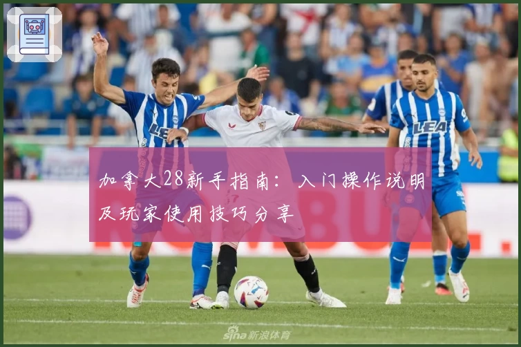 加拿大28新手指南：入门操作说明及玩家使用技巧分享