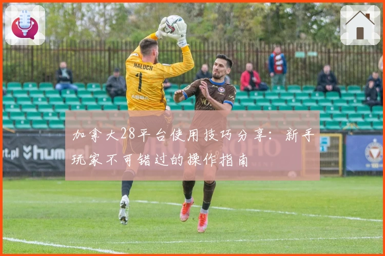 加拿大28平台使用技巧分享:新手玩家不可错过的操作指南
