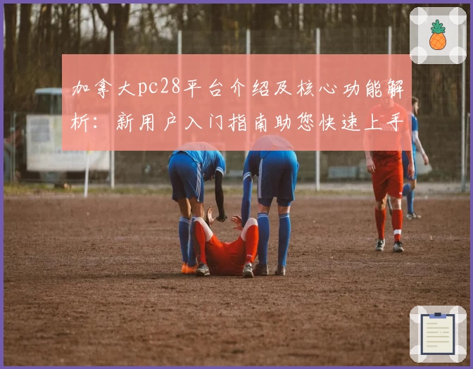 加拿大pc28平台介绍及核心功能解析:新用户入门指南助您快速上手
