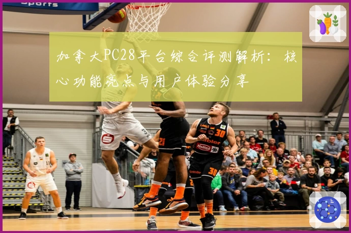 加拿大PC28平台综合评测解析：核心功能亮点与用户体验分享