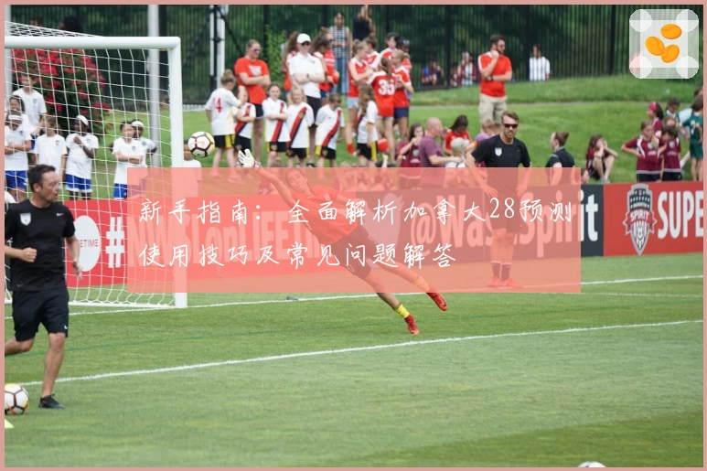 新手指南:全面解析加拿大28预测使用技巧及常见问题解答