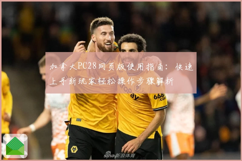 加拿大PC28网页版使用指南：快速上手新玩家轻松操作步骤解析