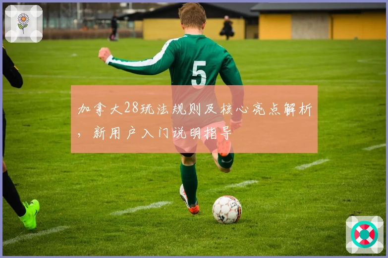 加拿大28玩法规则及核心亮点解析，新用户入门说明指导