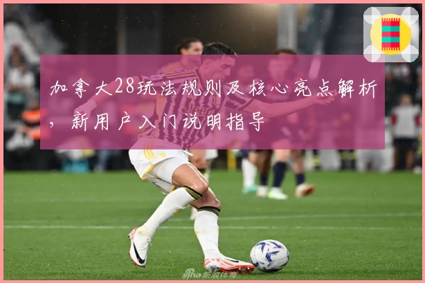 加拿大28玩法规则及核心亮点解析，新用户入门说明指导