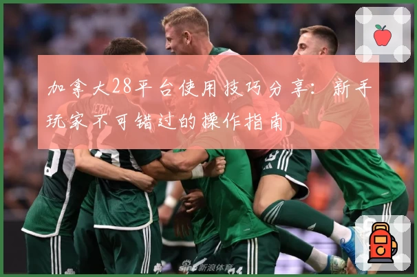 加拿大28平台使用技巧分享：新手玩家不可错过的操作指南