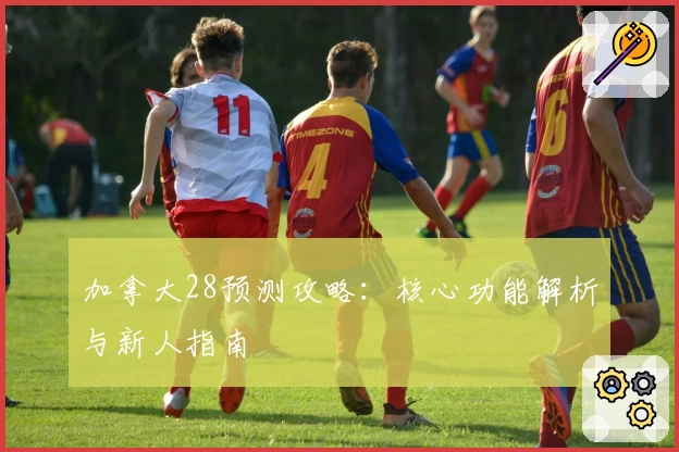 加拿大28预测攻略：核心功能解析与新人指南