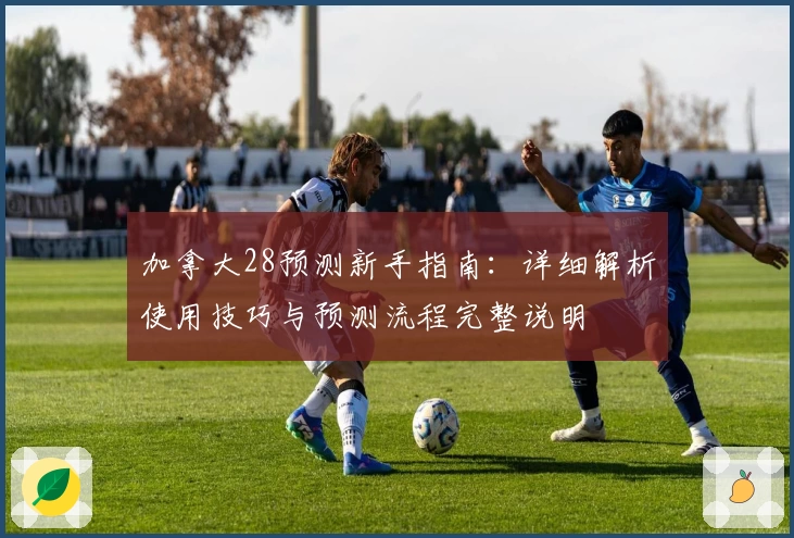 加拿大28预测新手指南：详细解析使用技巧与预测流程完整说明